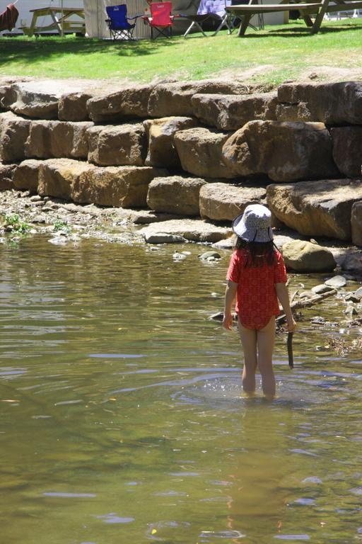 Big4 Wye River Holiday Park Luaran gambar